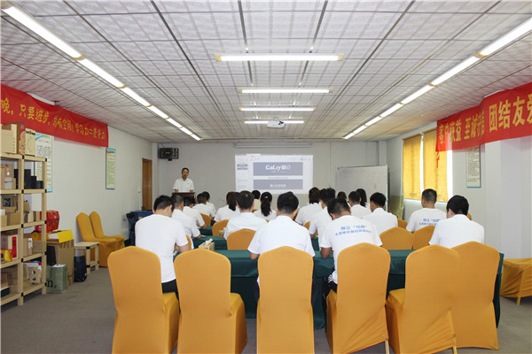 伽立集團(tuán)銷售會 伽立集團(tuán)銷售會